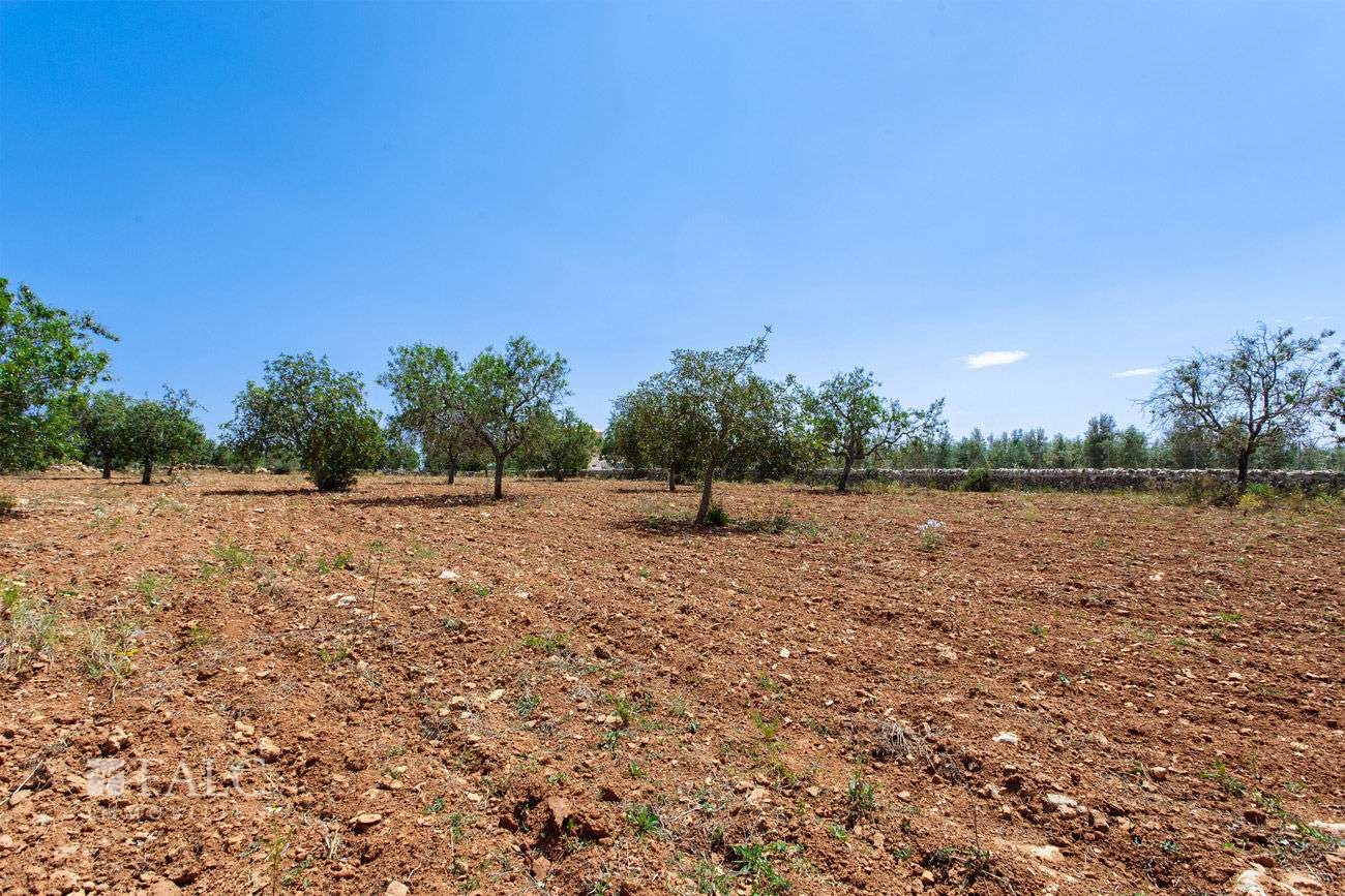 Terreno_M_14_Felanitx_19_Low