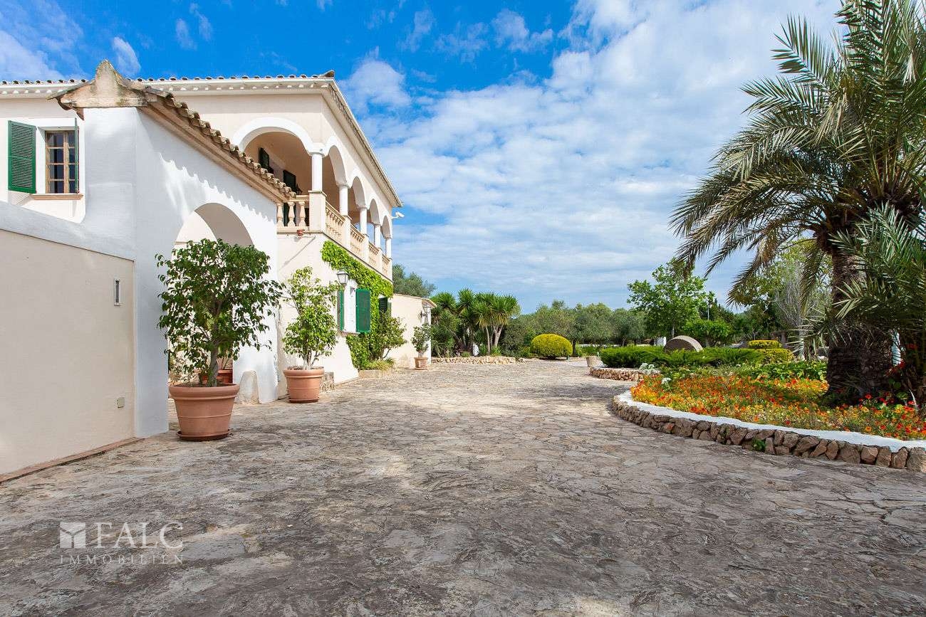 Finca_Sa_Torre_Ref_6801512_04_Low