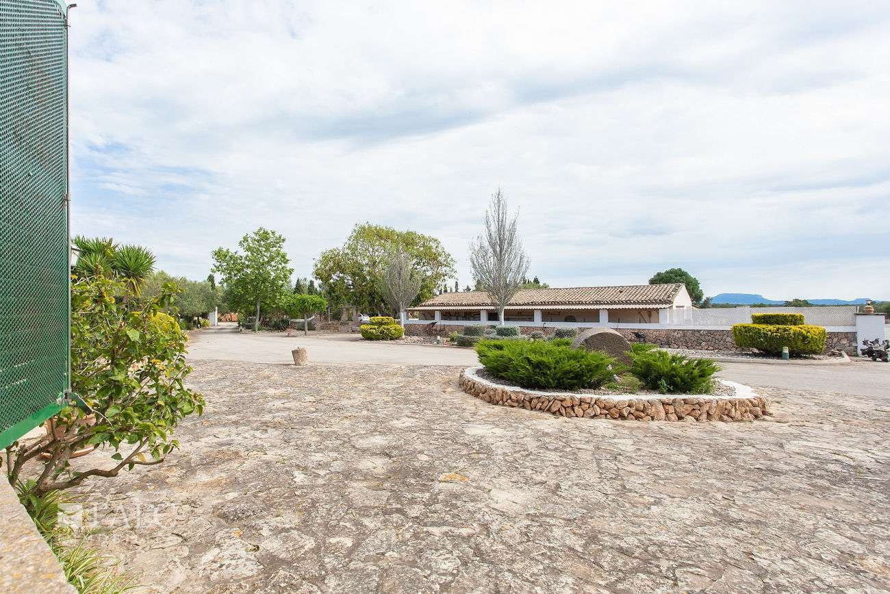 Finca_Sa_Torre_Ref_6801512_20_Low