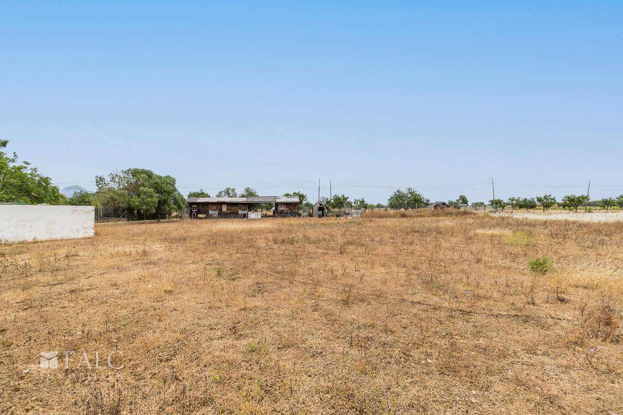 finca-santa-maria-del-cami-18finca-santa-maria-del-cami-18