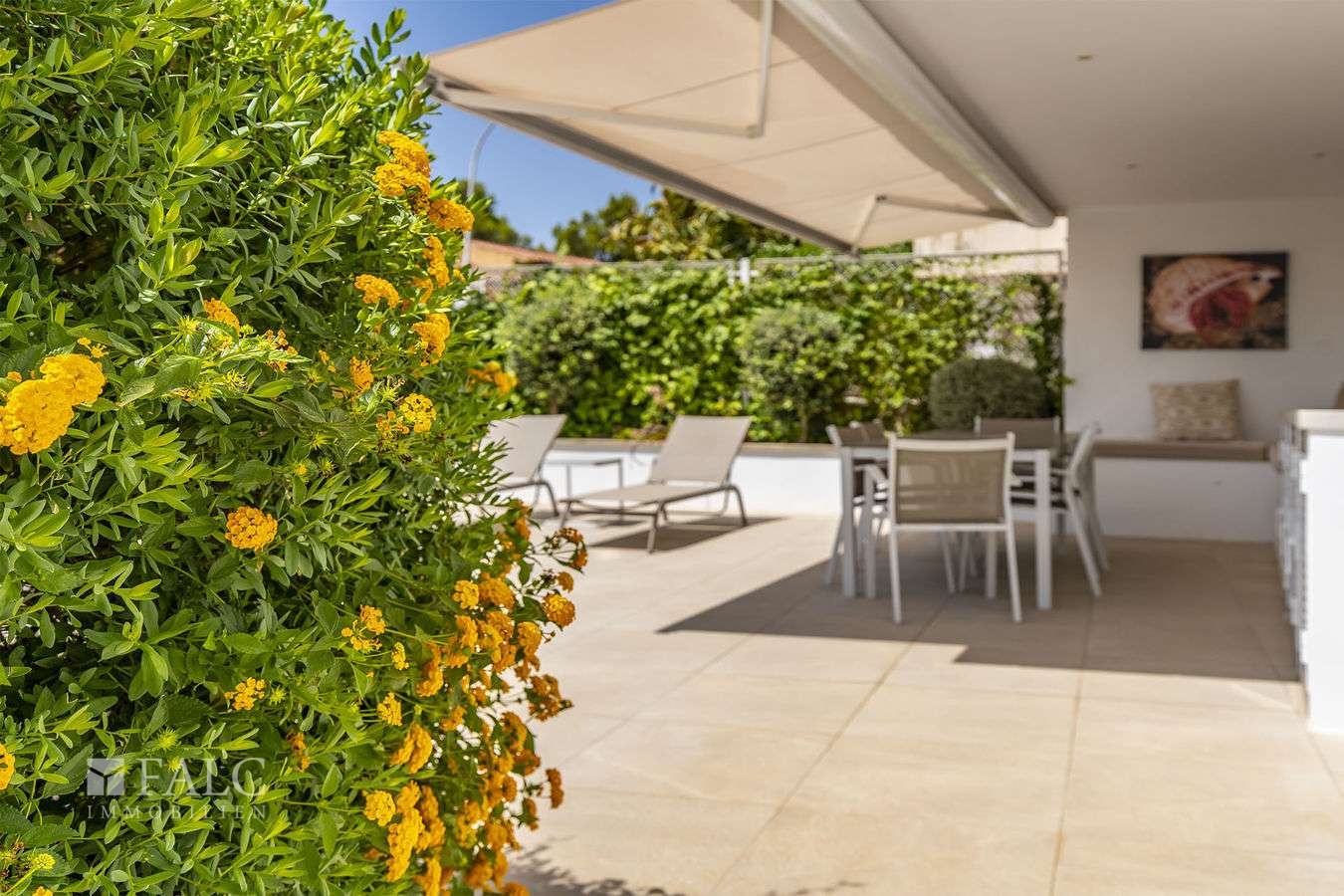 apartment-cas-catala-14