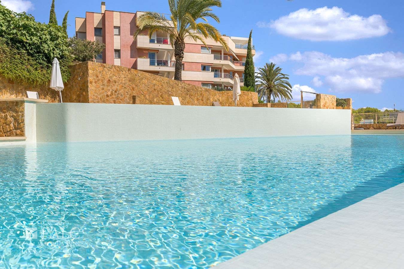 apartment-sol-de-mallorca-2