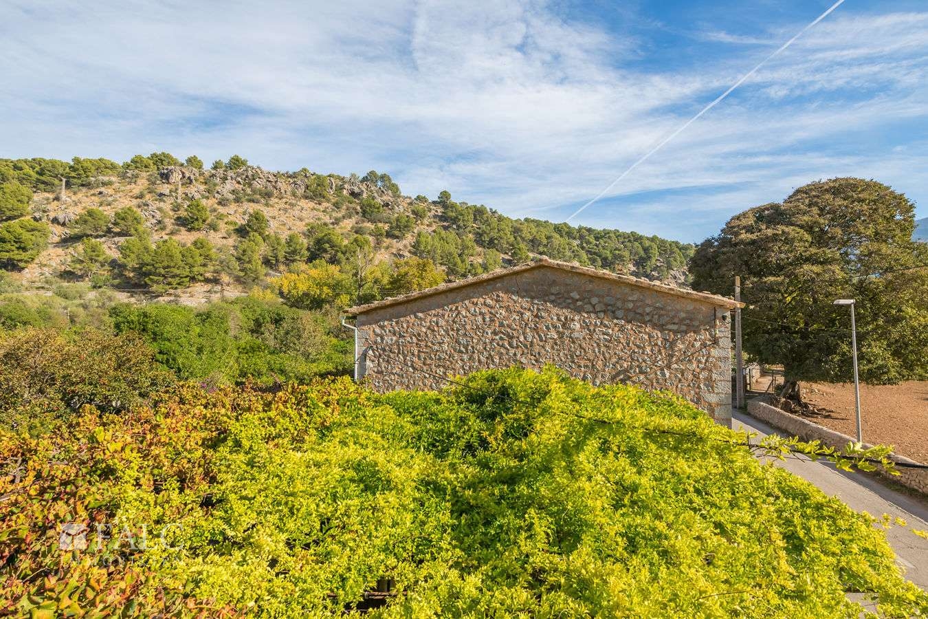 finca-soller-9