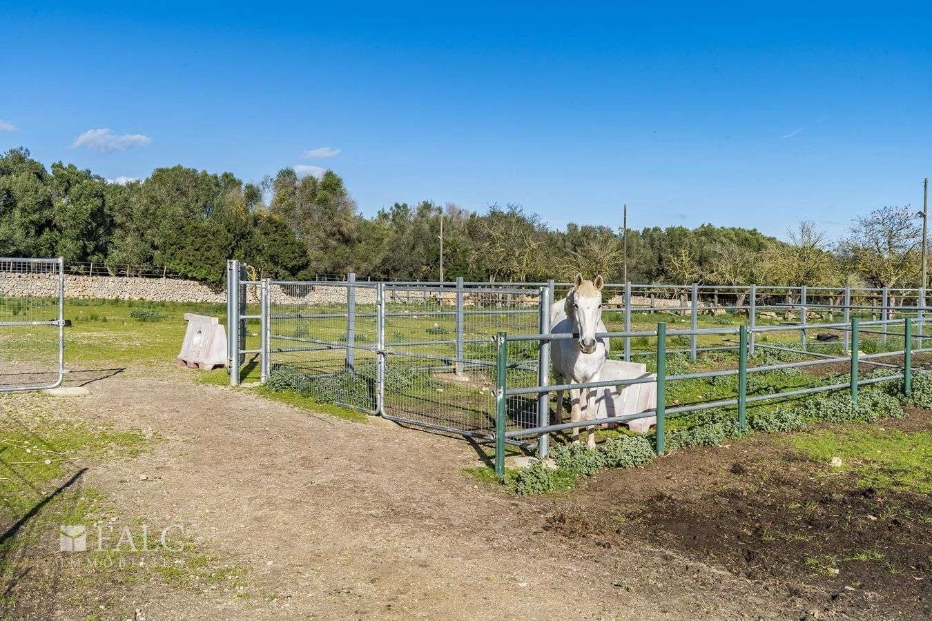 finca-lloret-de-vistalegre-22