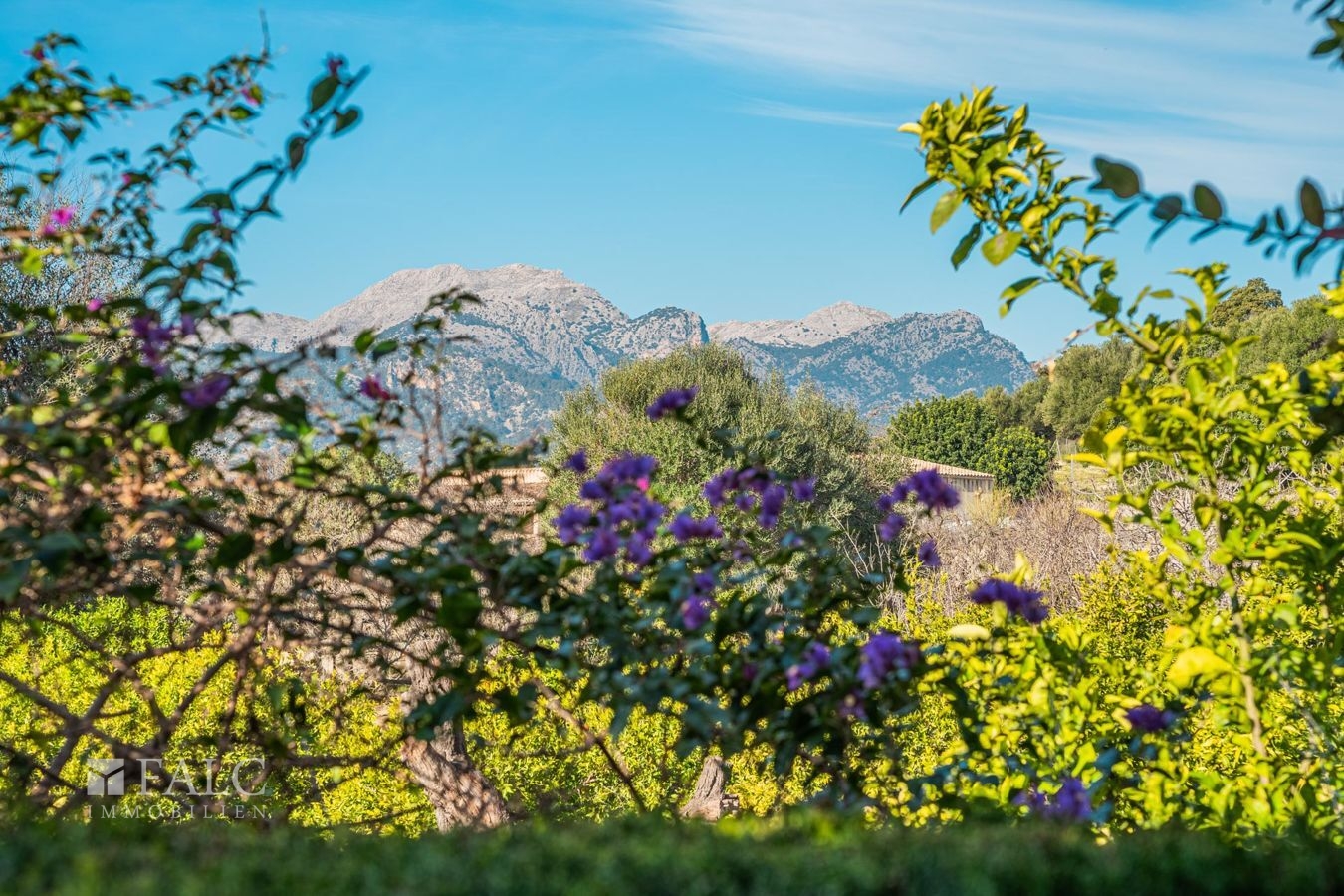 doppelhaushaelfte-campanet-30