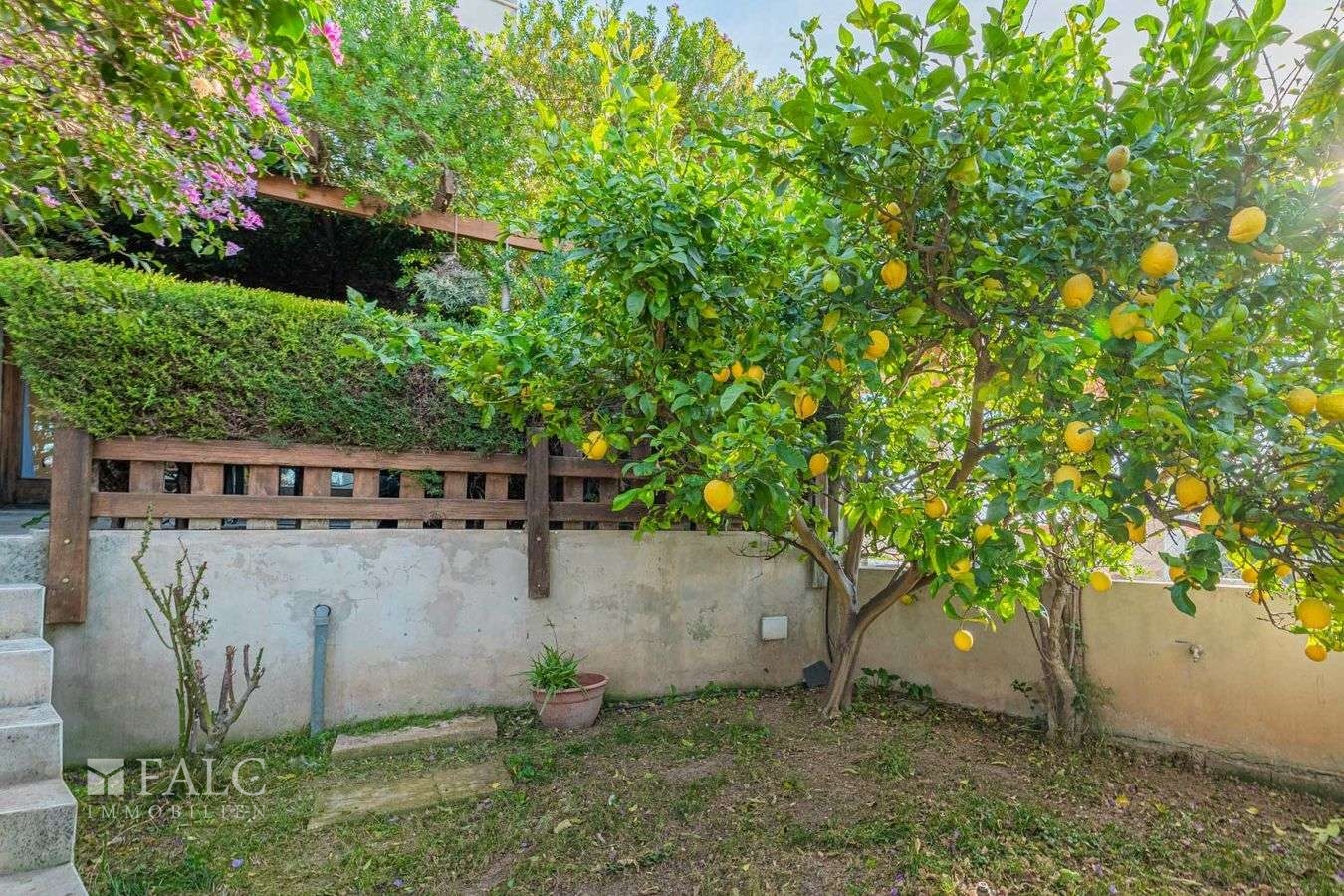 doppelhaushaelfte-campanet-28