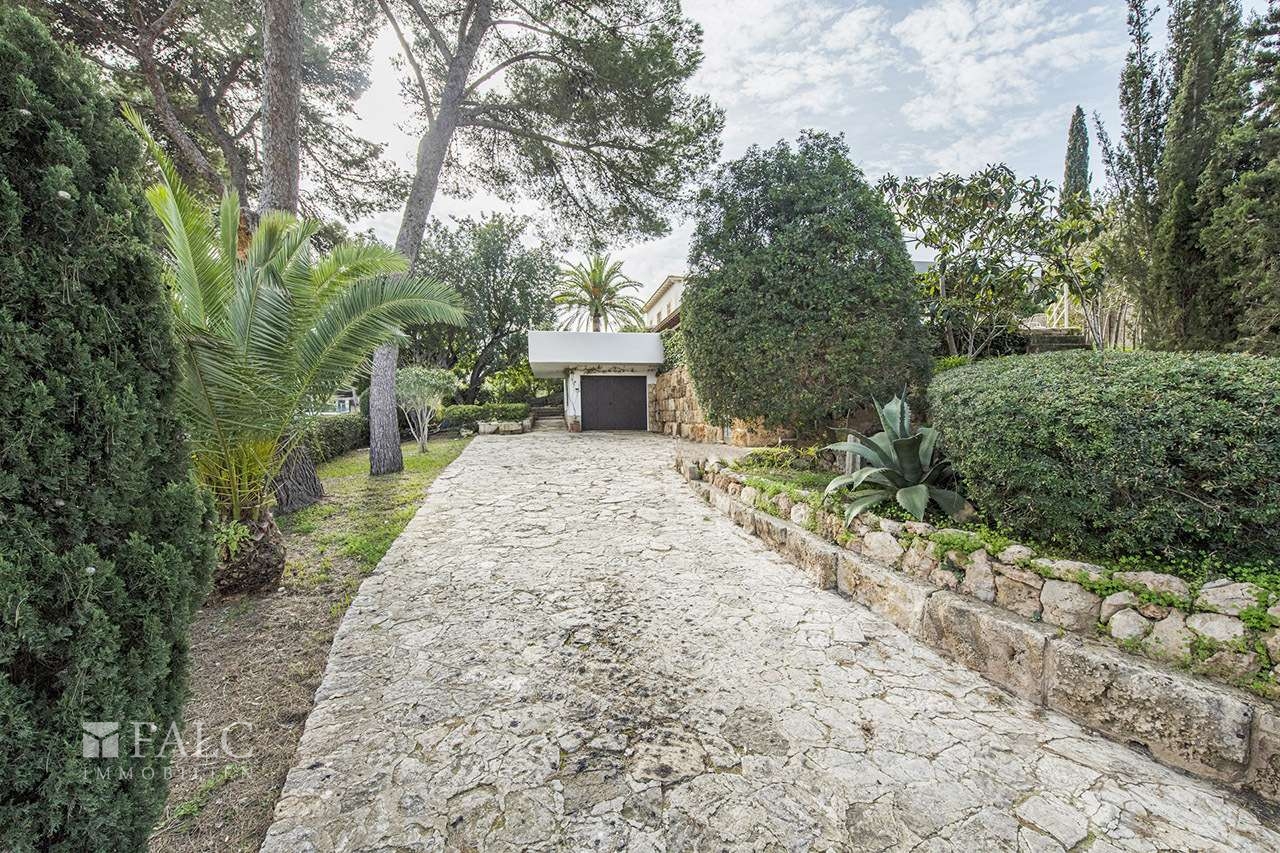 villa-palma-son-veri-nou-4