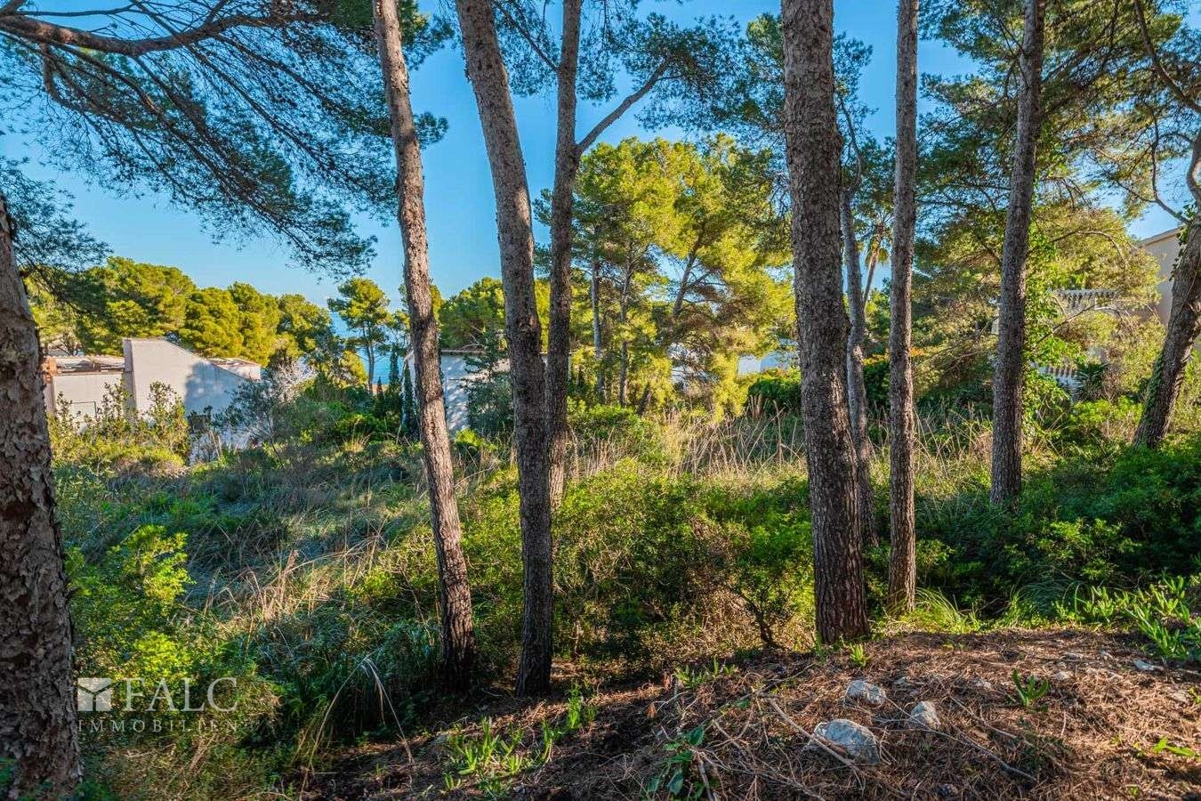 Grundstueck-provensals-4