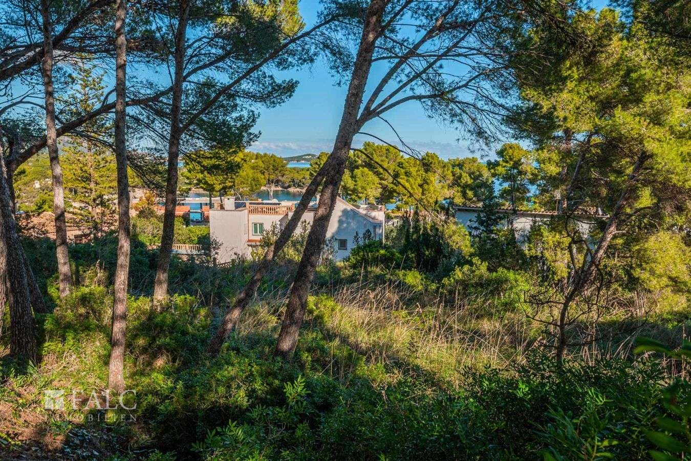 Grundstueck-provensals-3