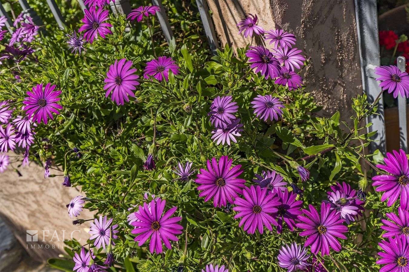 dorfhaus-esporlas-24