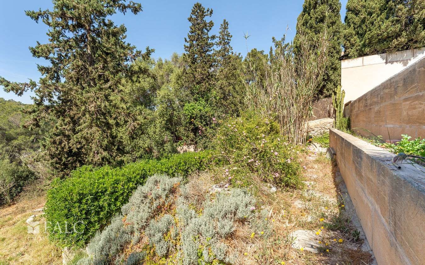 grundstueck-son-rapinya-4