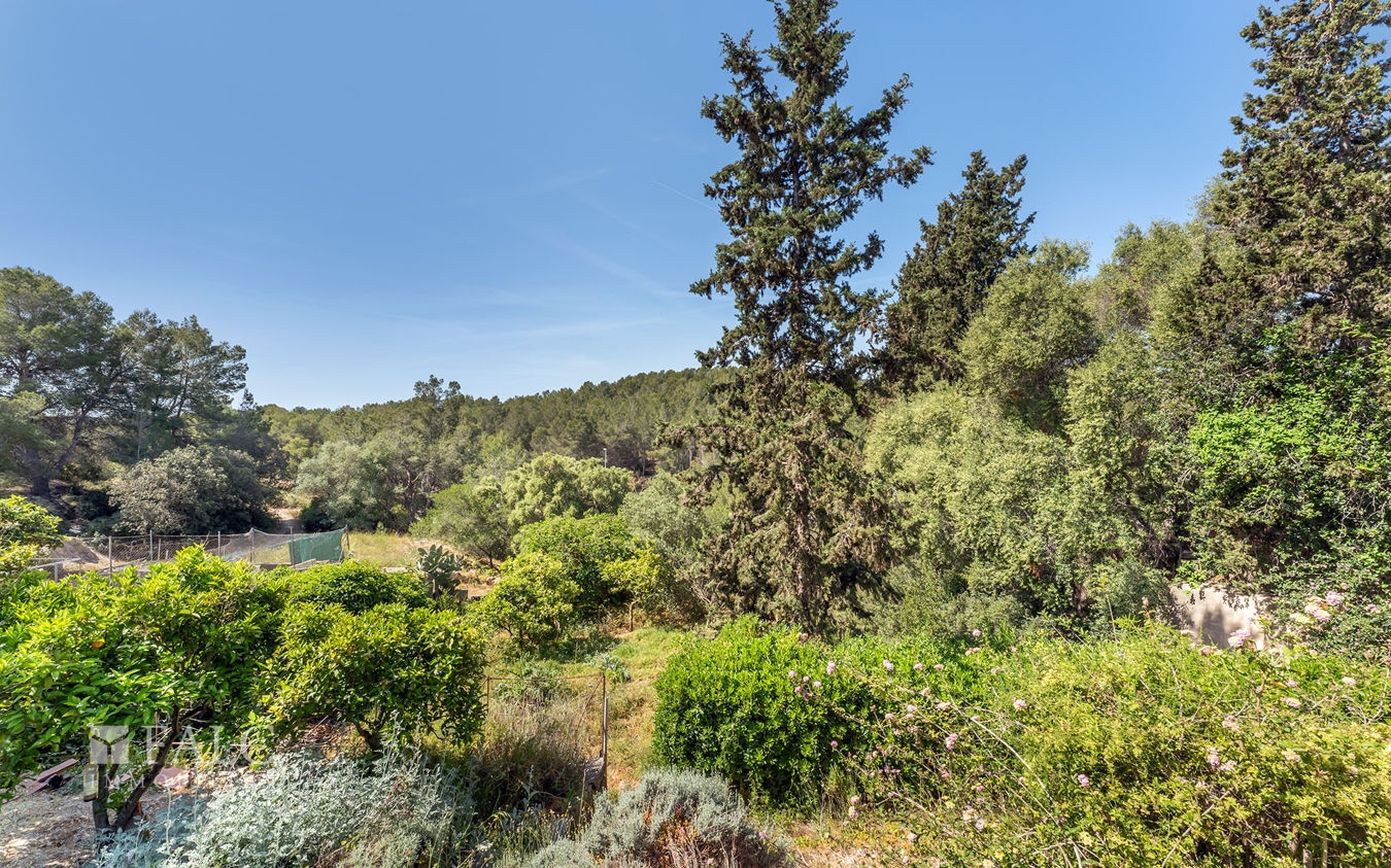 grundstueck-son-rapinya-3