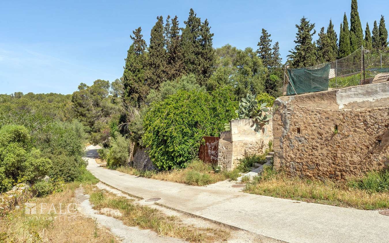 grundstueck-son-rapinya-8