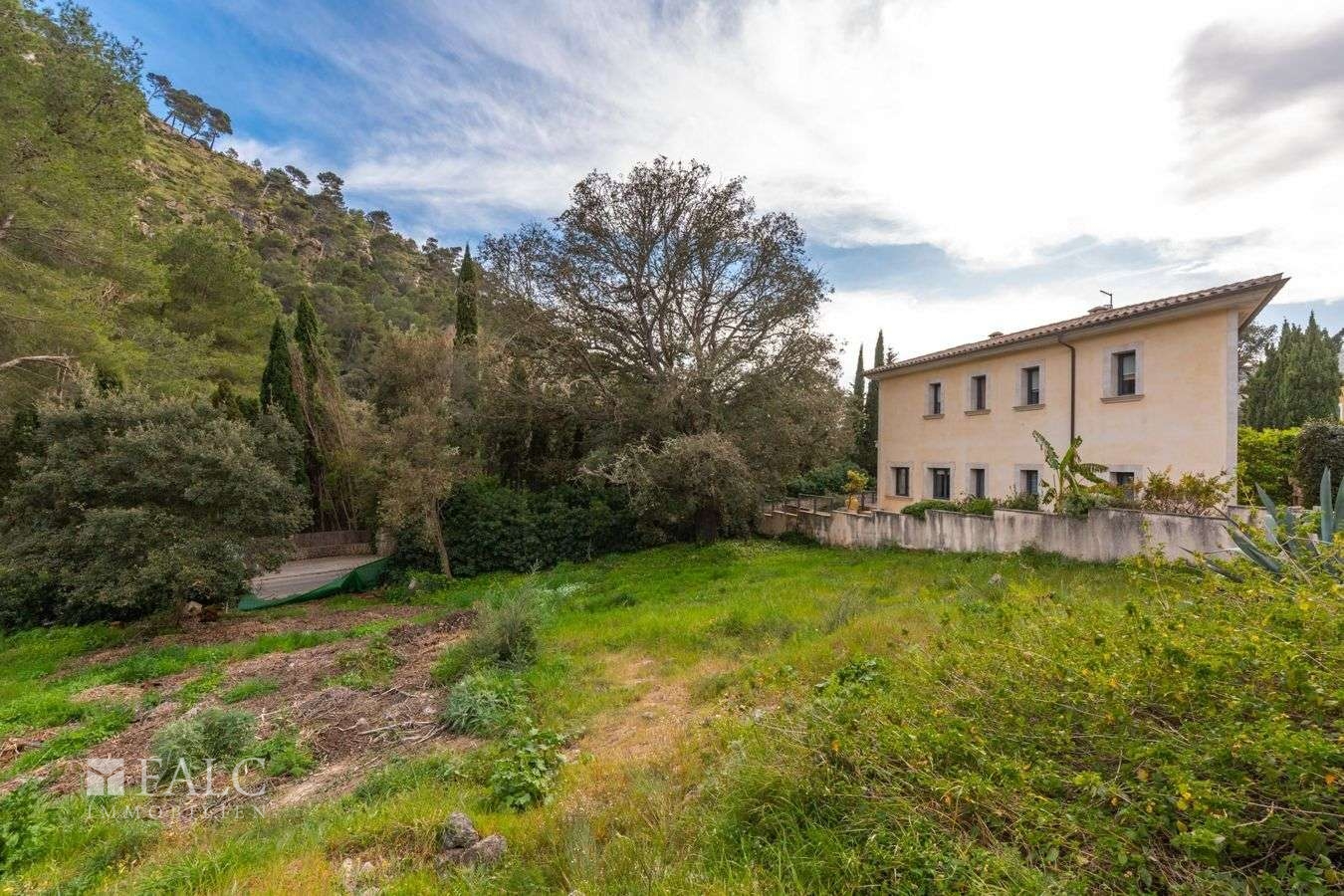 grundstueck-cala-san-vicente-5