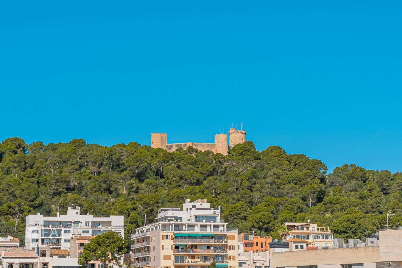 palma-apartamento-29