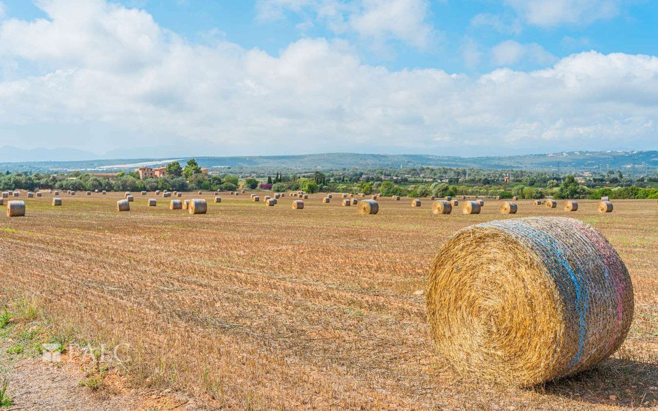 grundstueck-son-gual-6