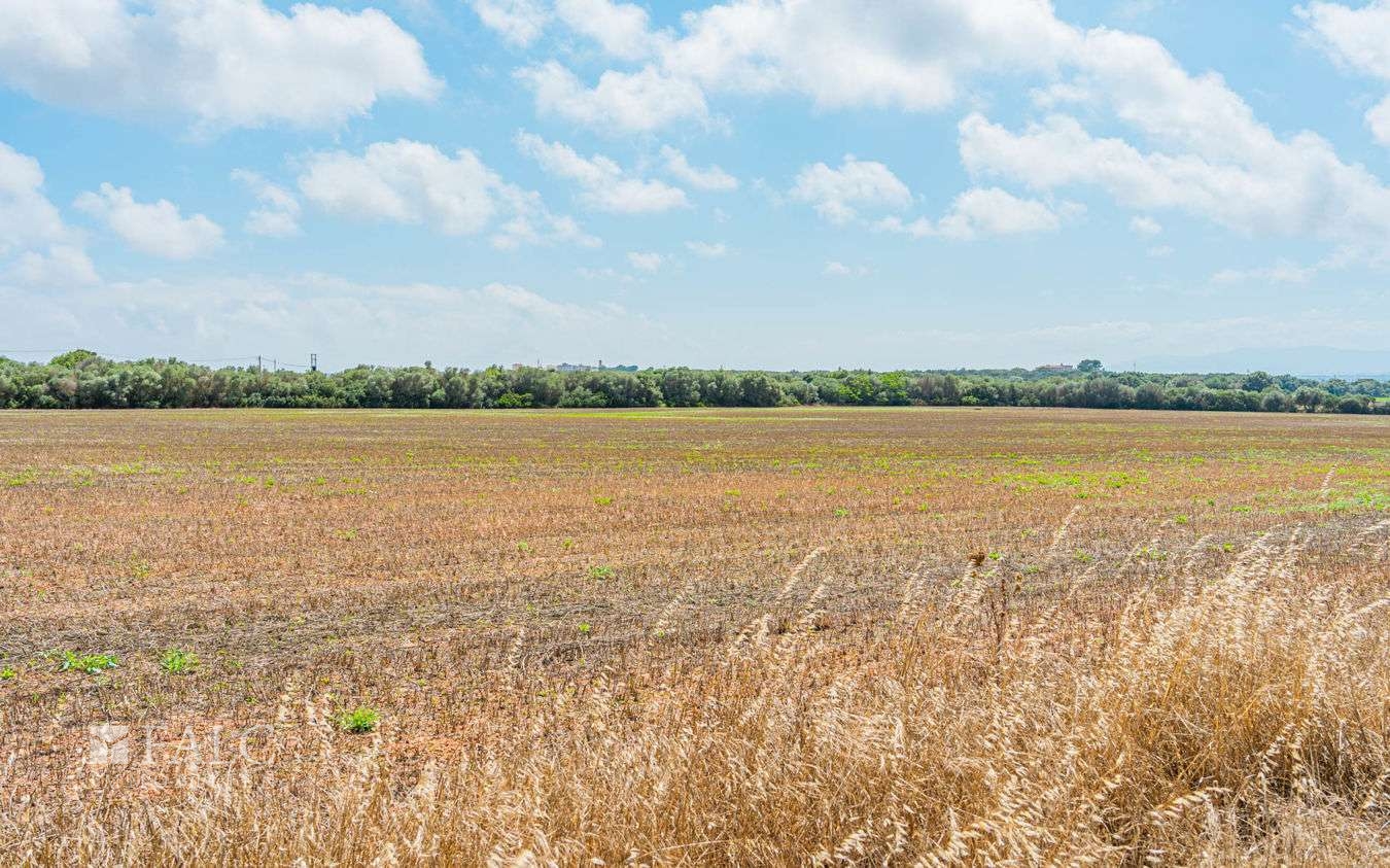 grundstueck-son-gual-5