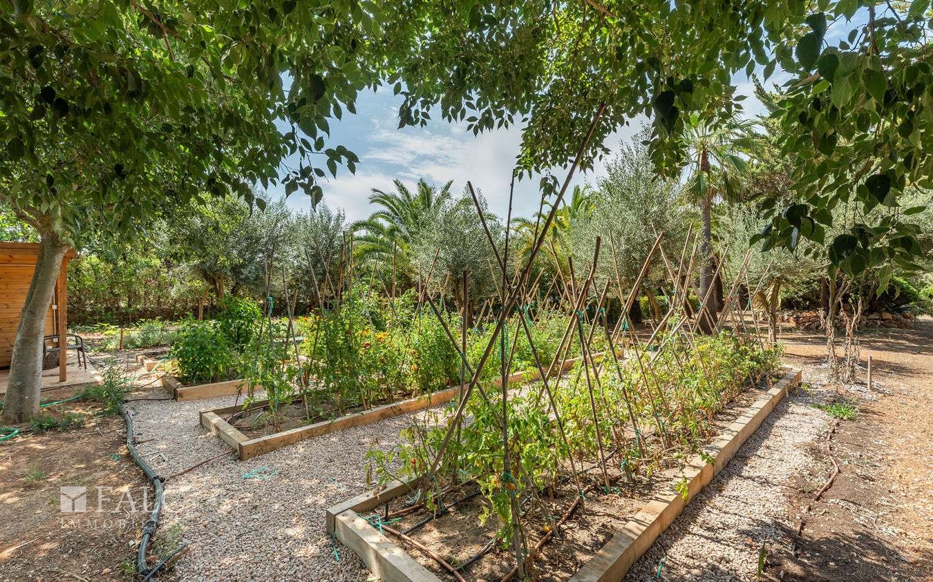 finca-santa-maria-27