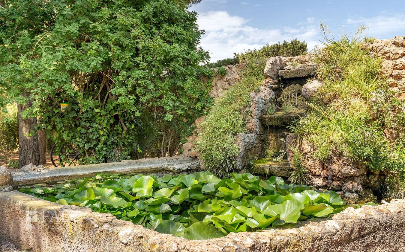 finca-santa-maria-32