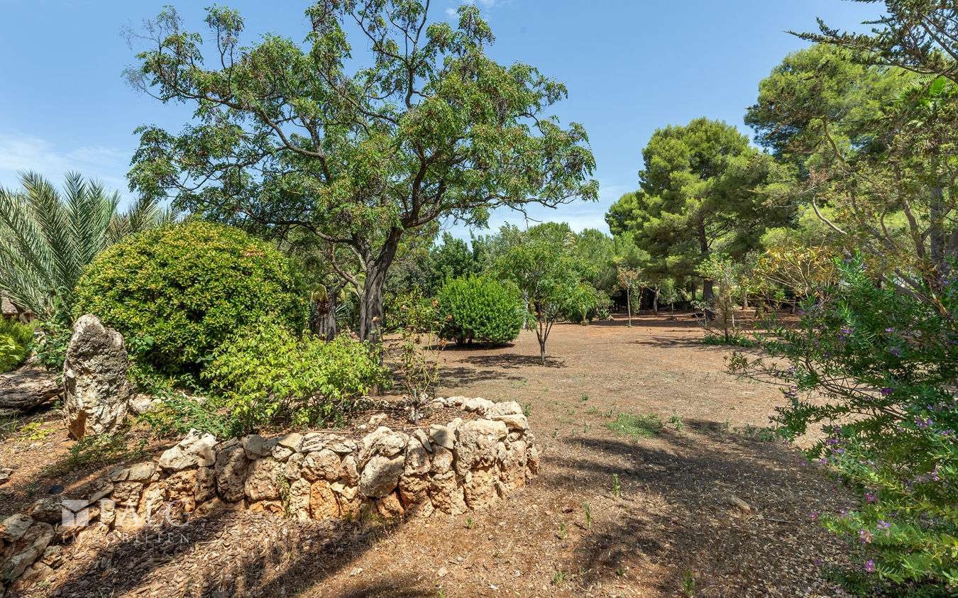 finca-santa-maria-28