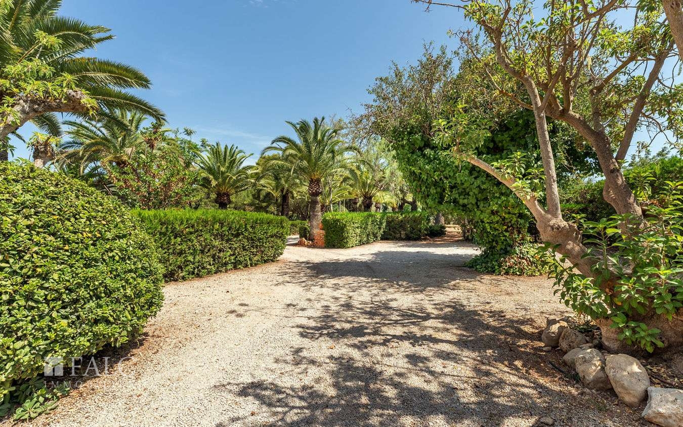 finca-santa-maria-29