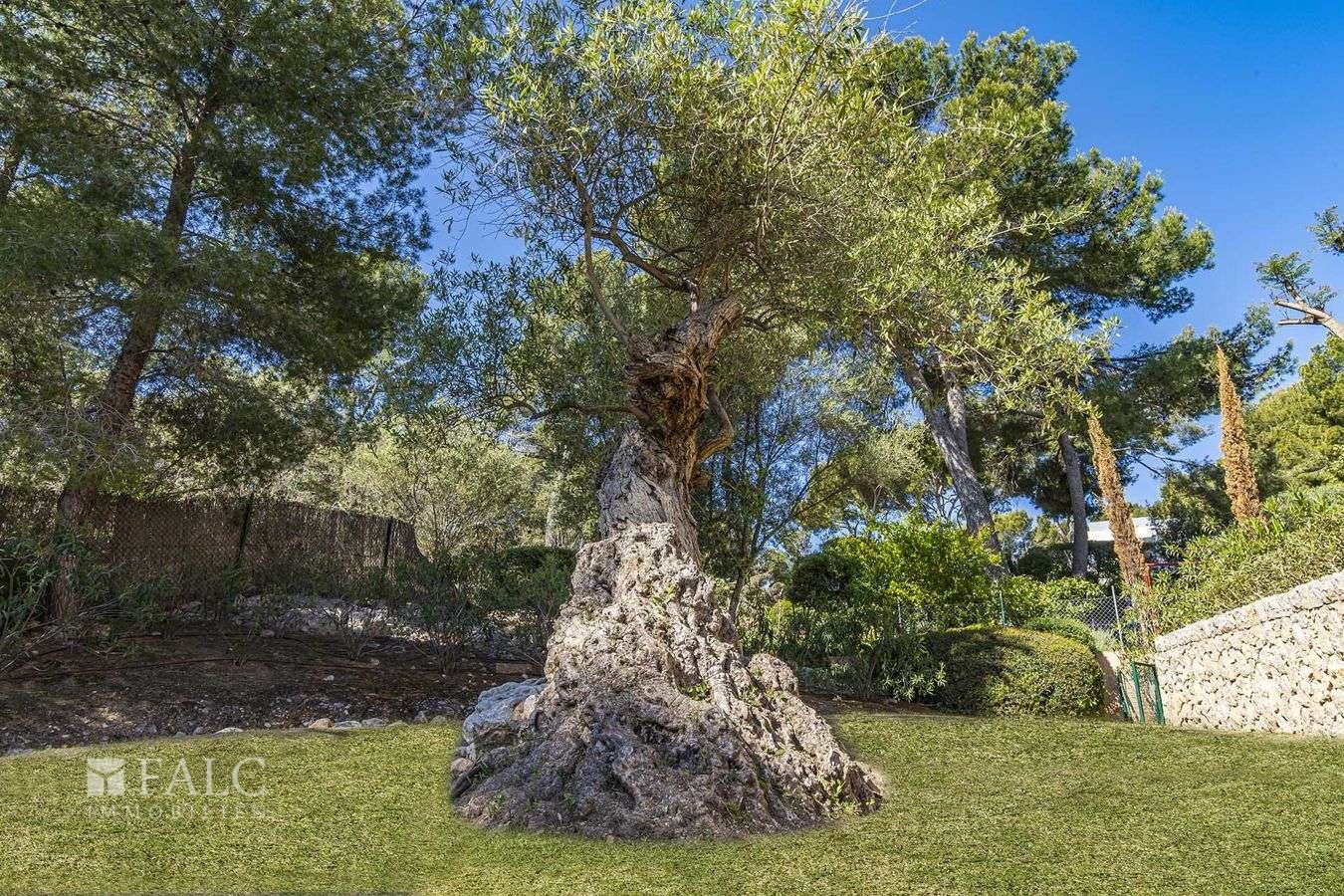 camp-de-mar-apartamento-29