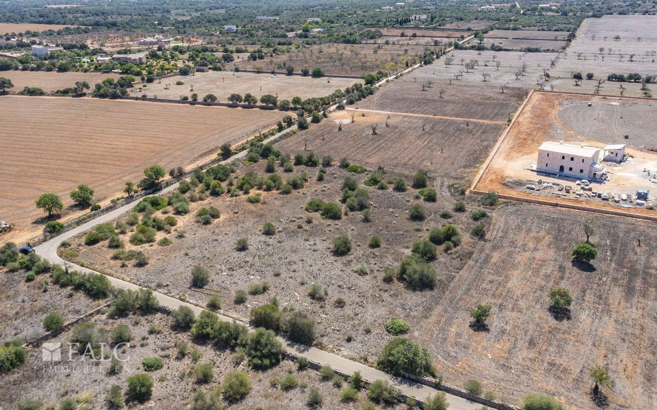 Grundstück-Cala Llombards-9