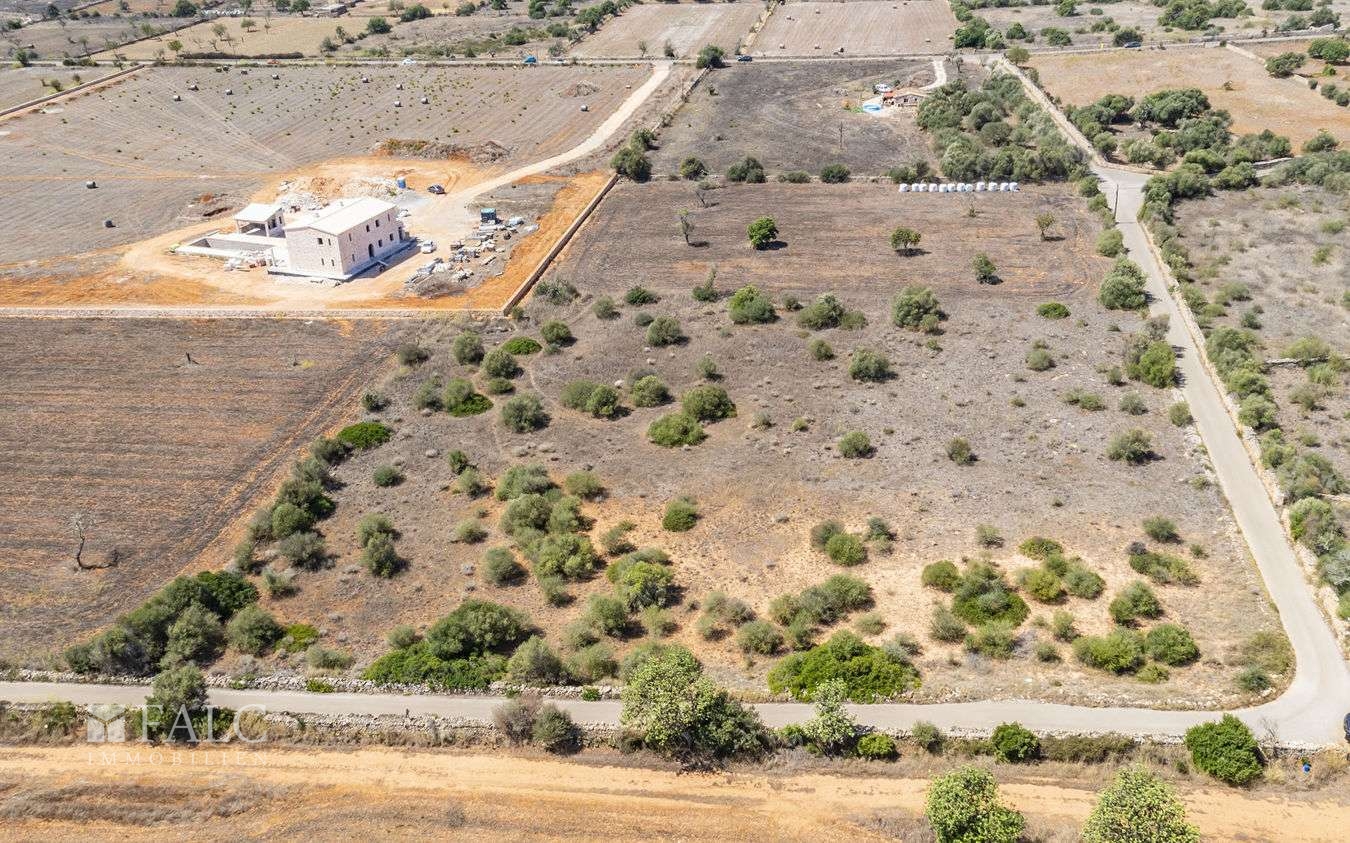 Grundstück-Cala Llombards-6