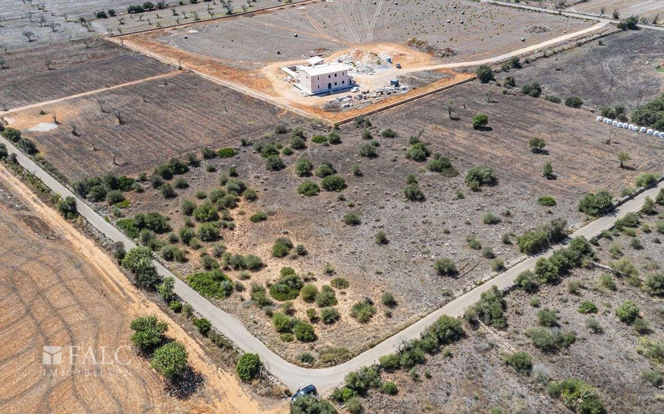 Grundstück-Cala Llombards-7