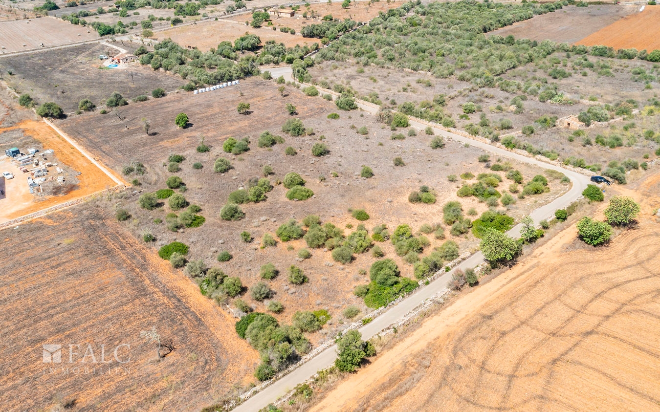 Grundstück-Cala Llombards-1