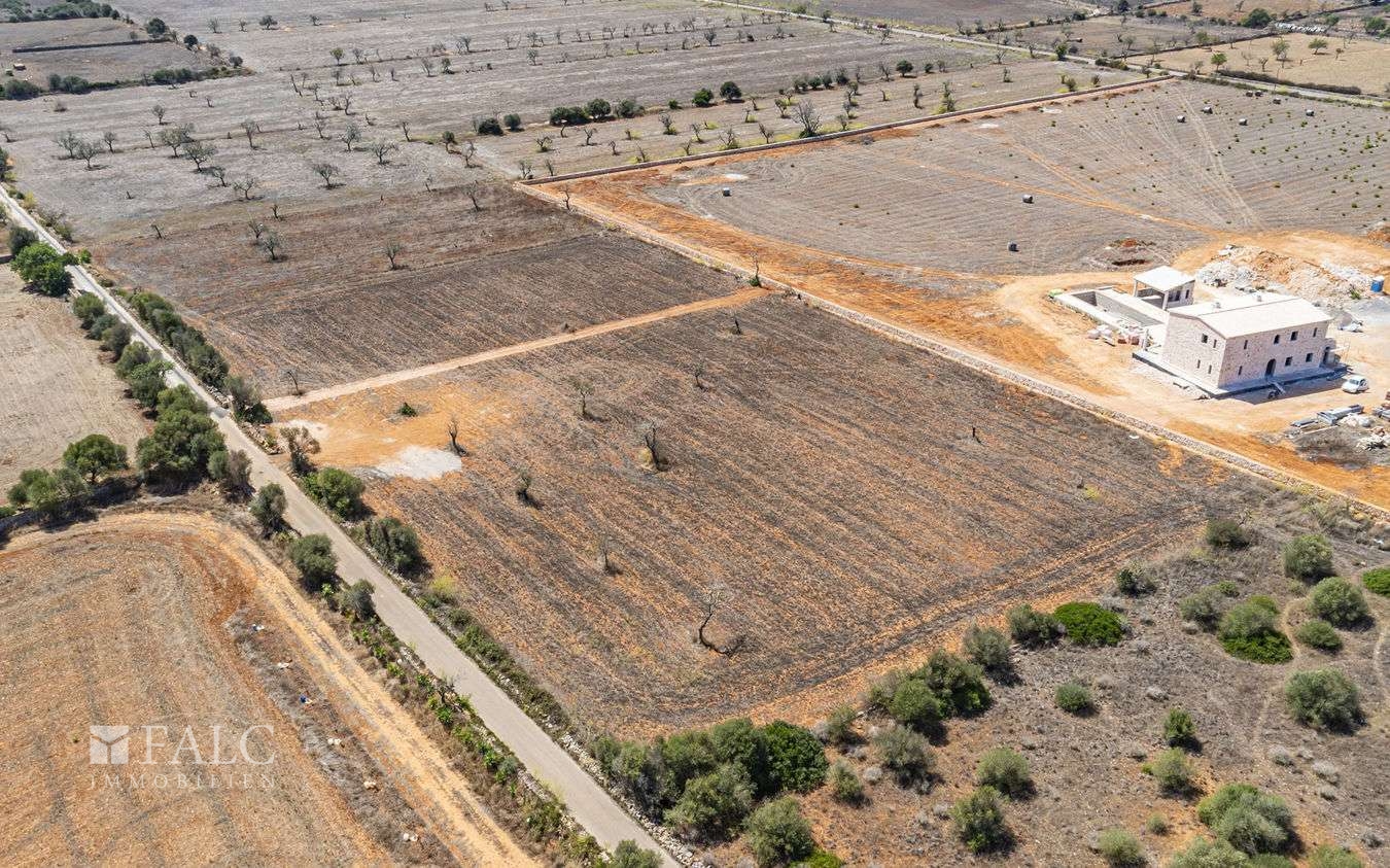 Grundstück-Cala Llombards-13