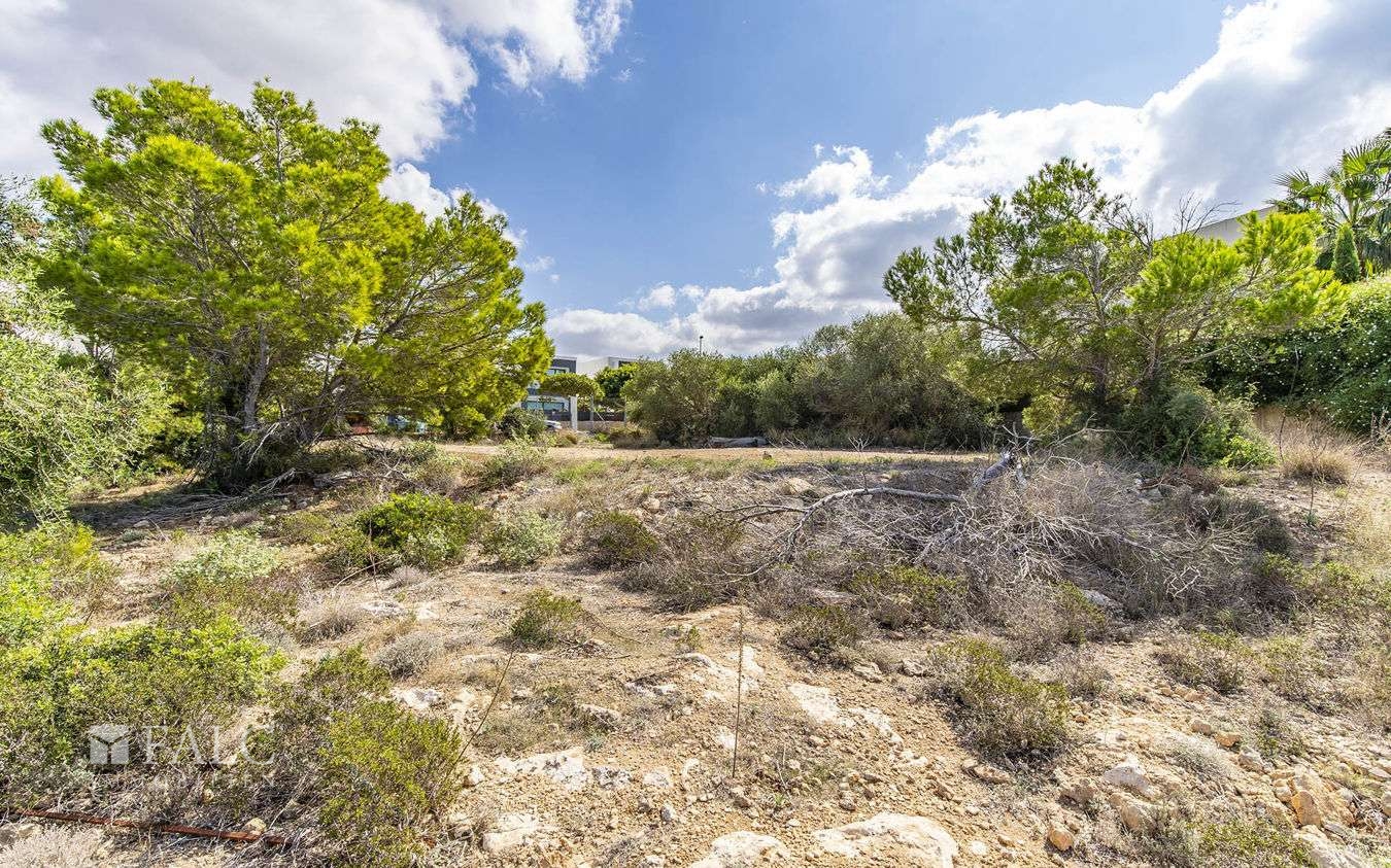 grundstück-puig-de-ros-12