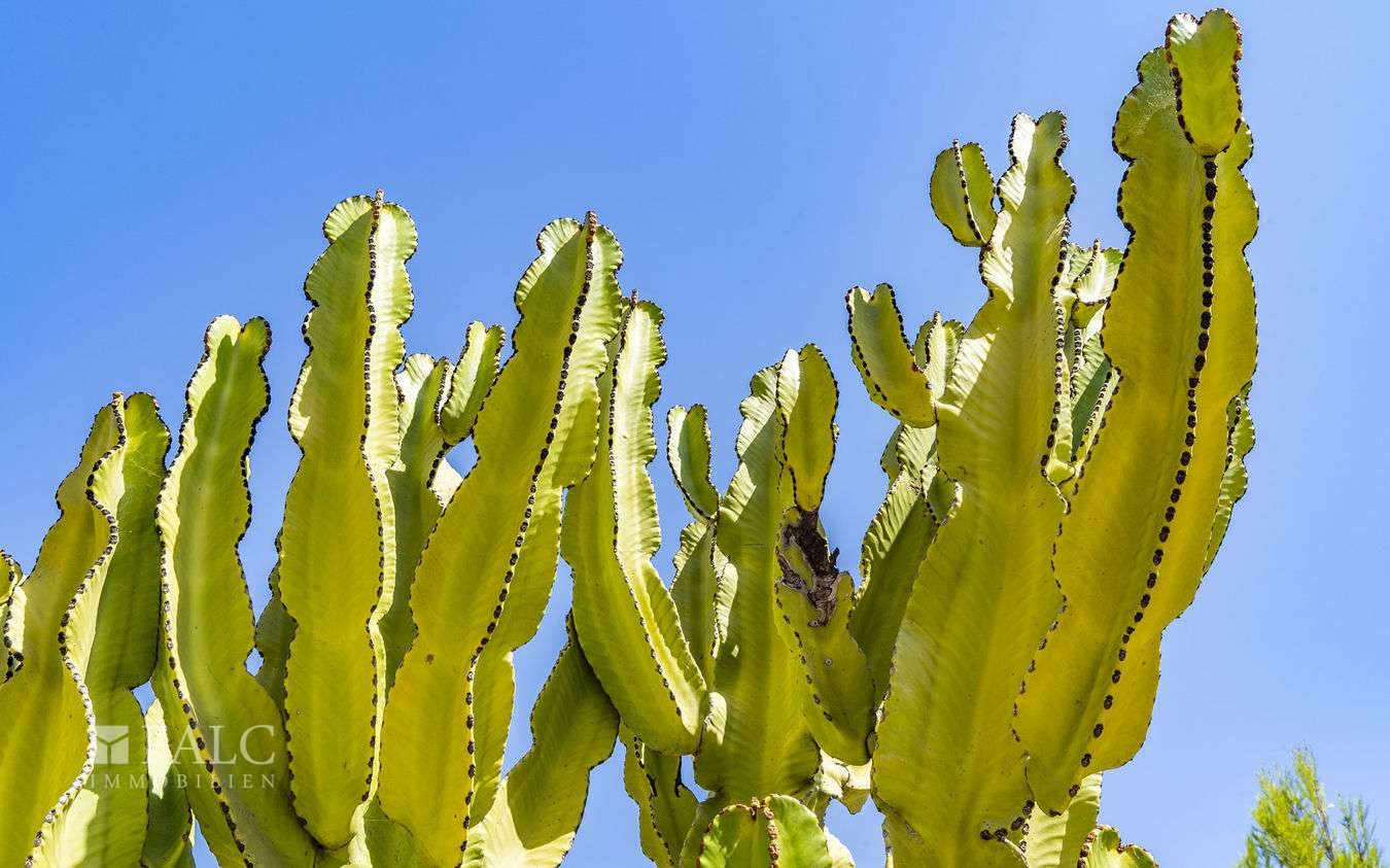 penthouse-santa-ponsa-30