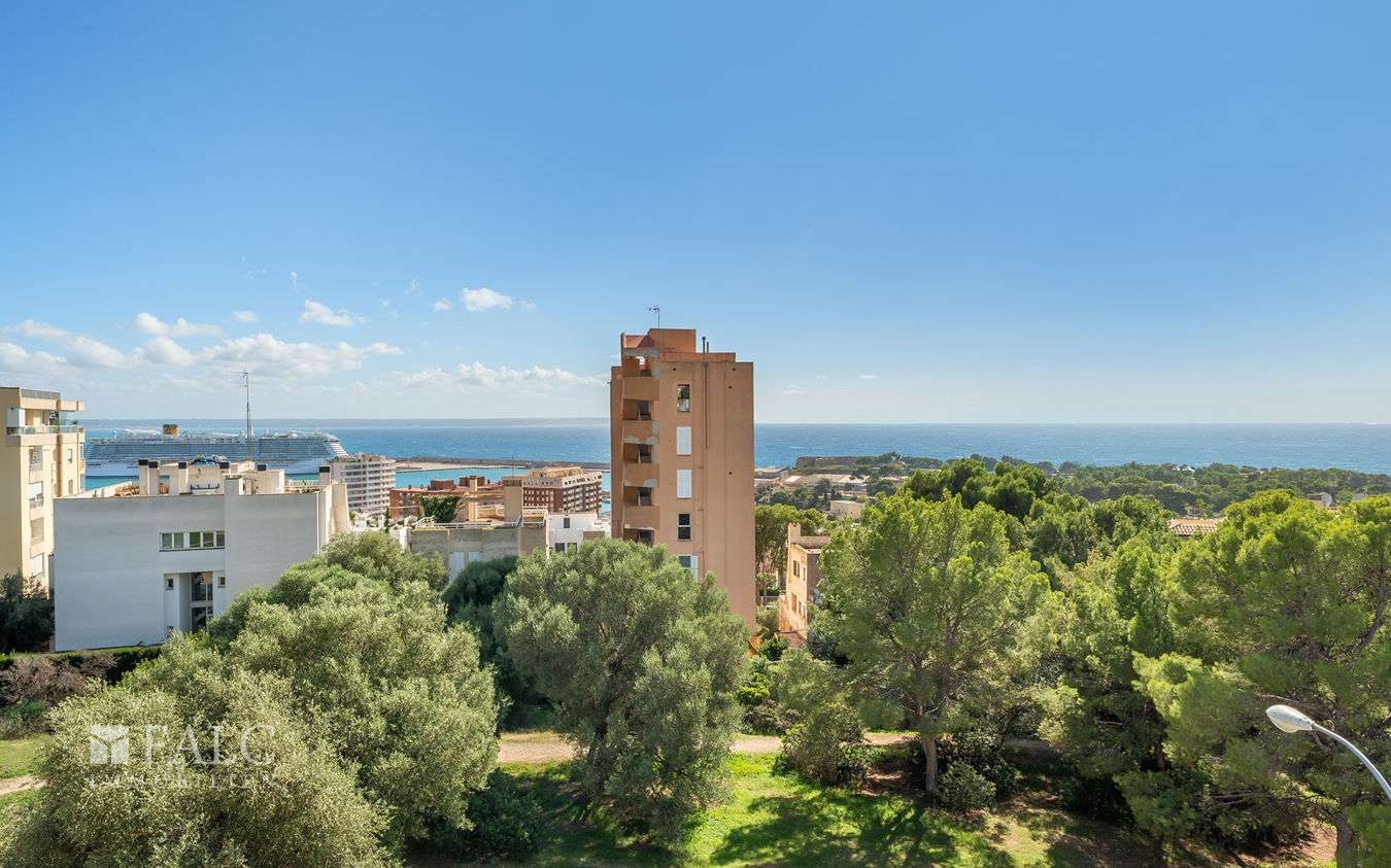 penthouse-palma-24