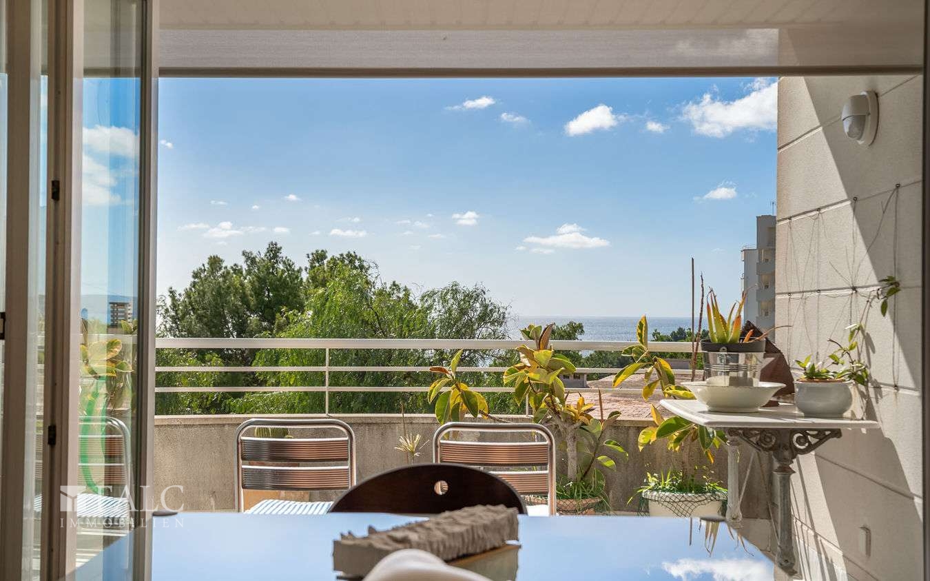 penthouse-palma-21