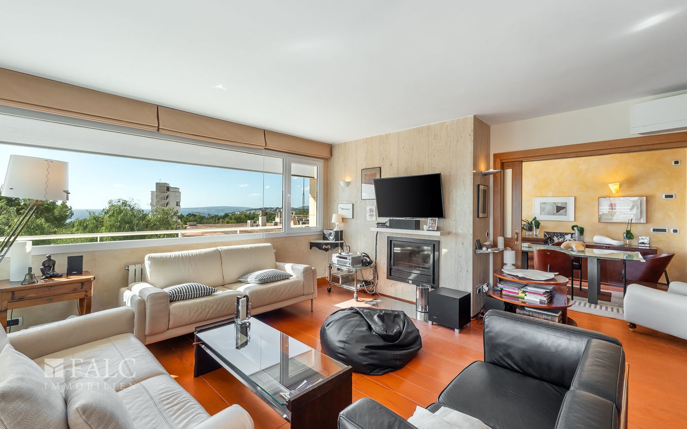 penthouse-palma-4