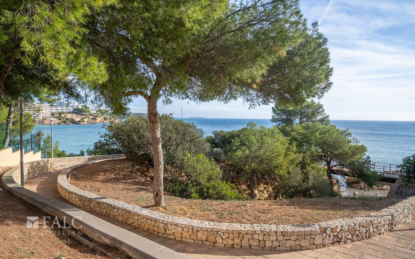 apartamento-palmanova-3