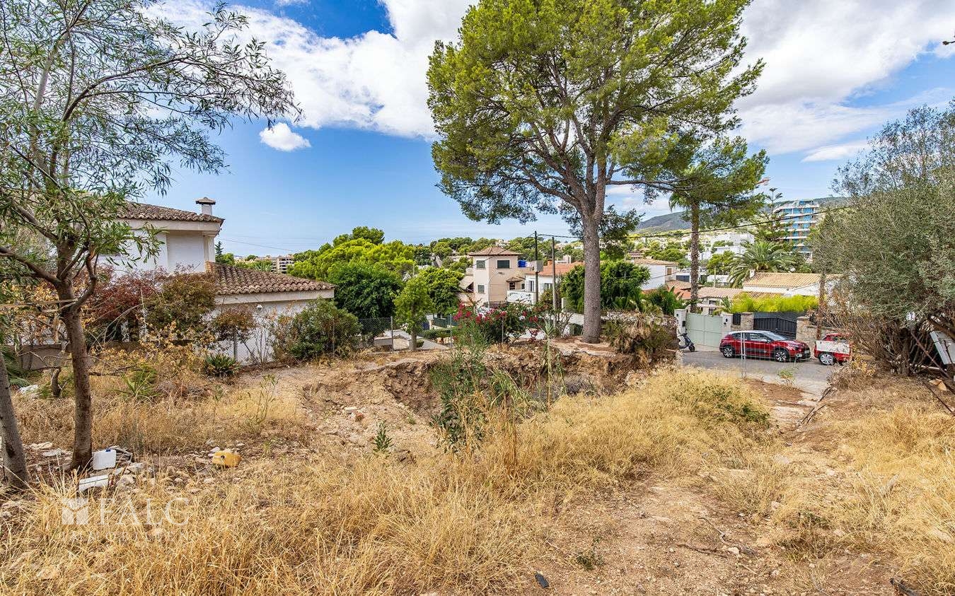 Grundstück-Bendinat-9