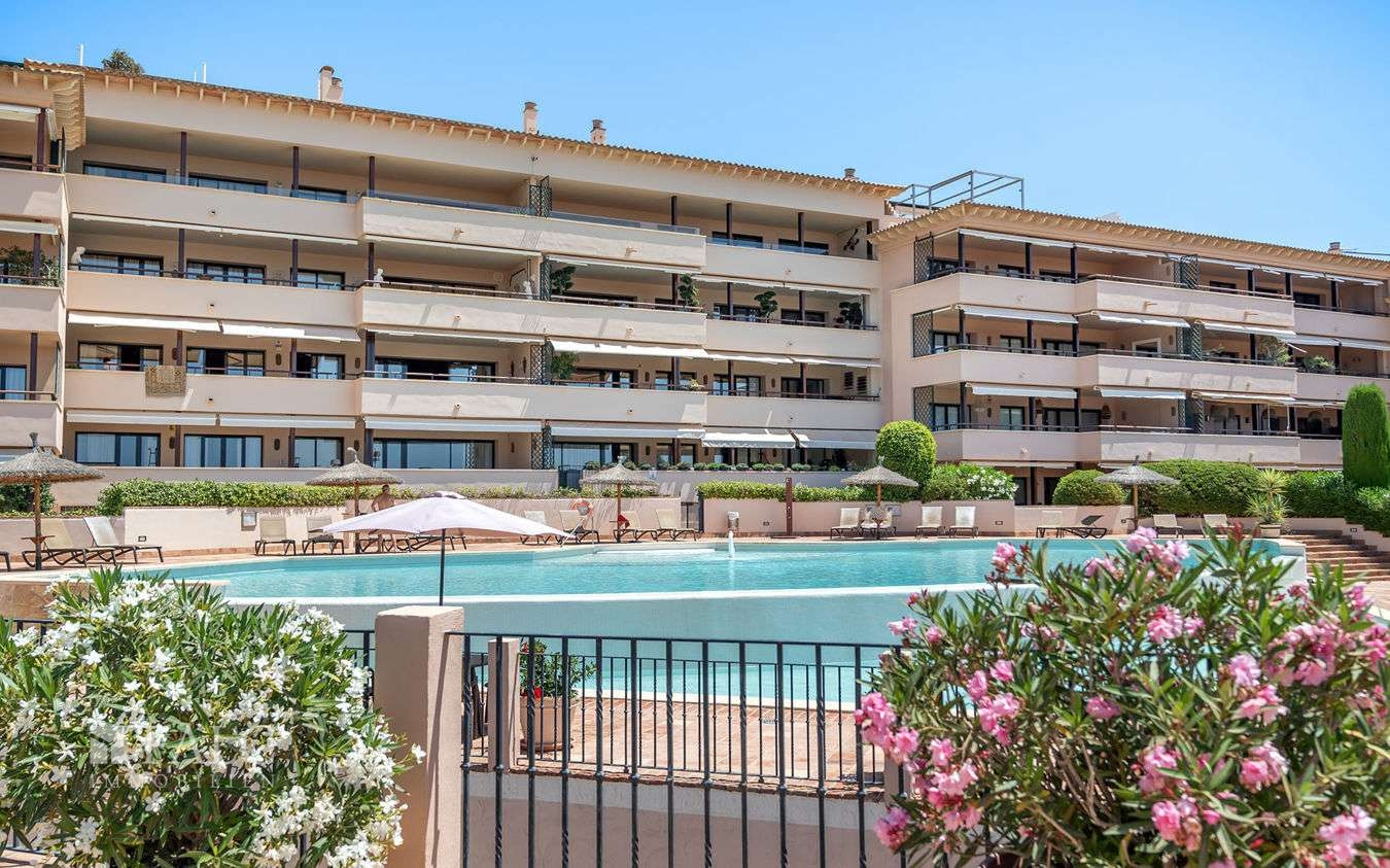 penthouse-cas-catala-26