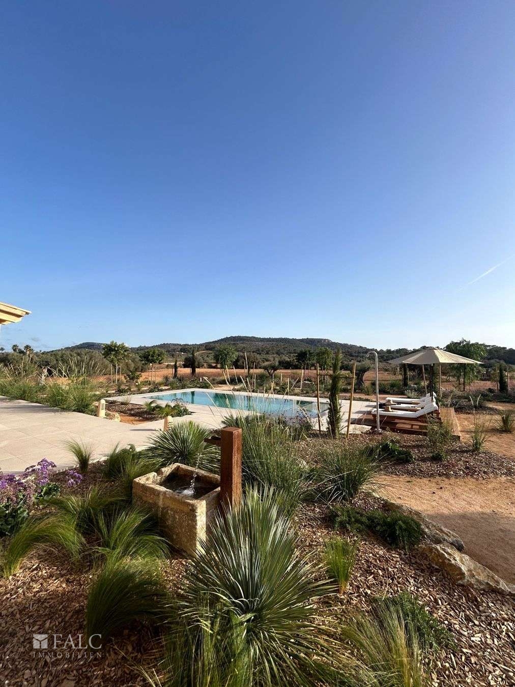 WhatsApp Image 2024-10-14 at 20.46.27