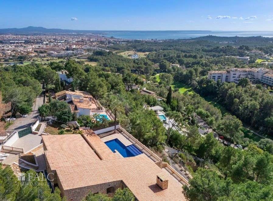 Captura de pantalla 2025-03-21 a las 11.20.51