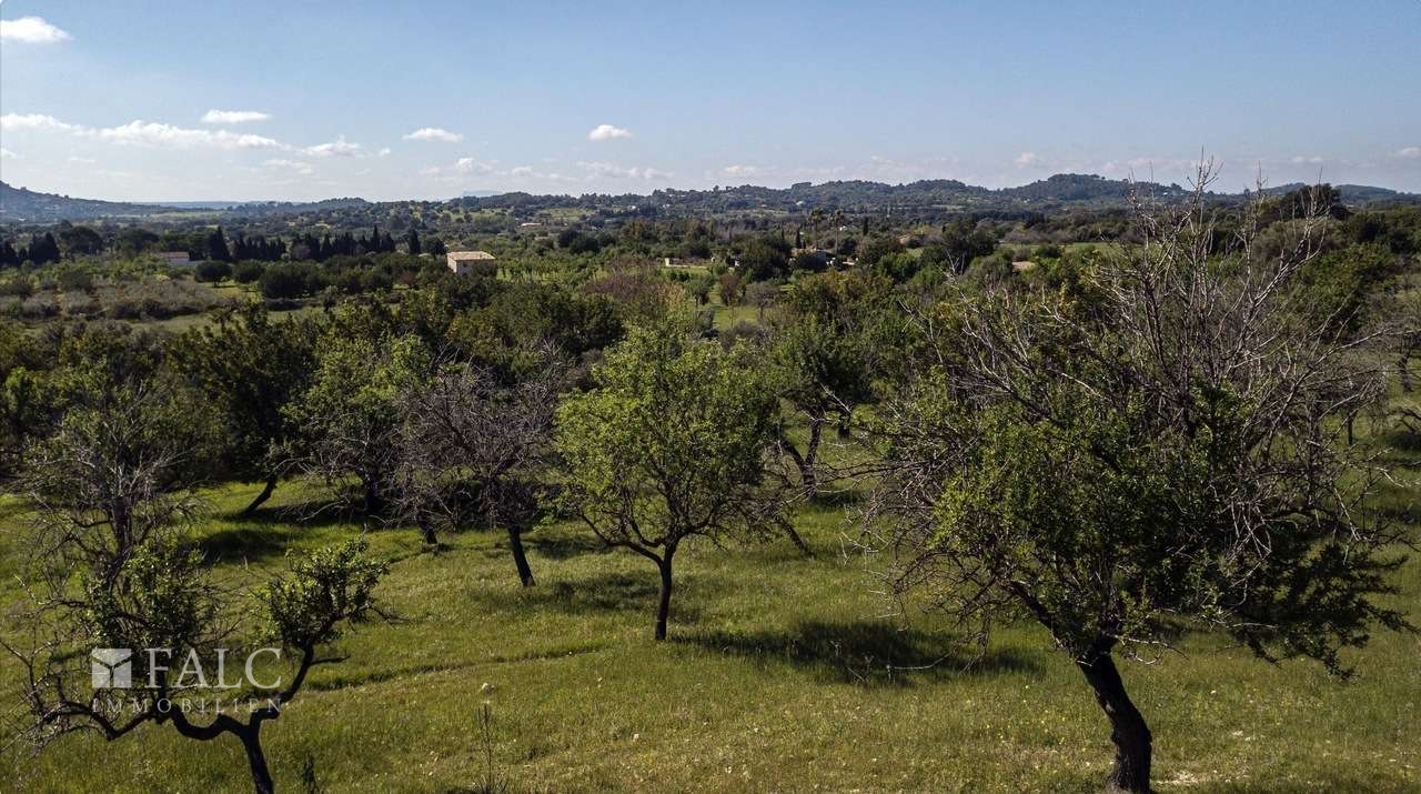 grundstueck-selva-31