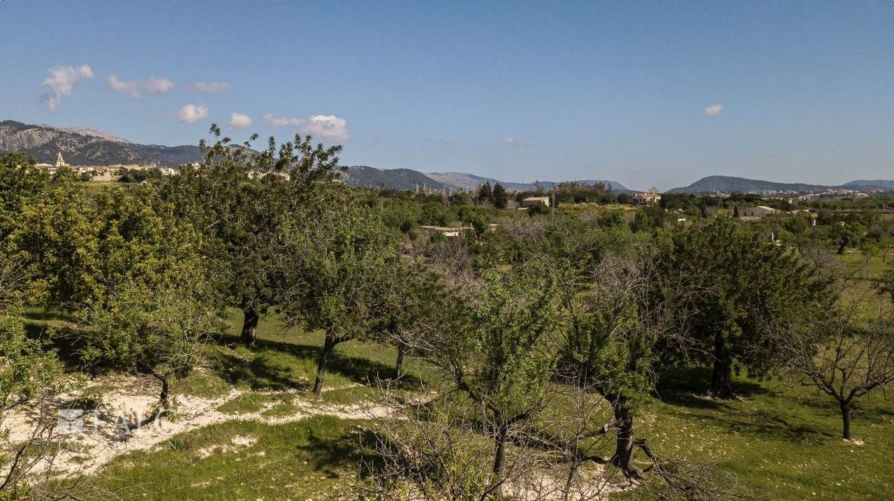 grundstueck-selva-25