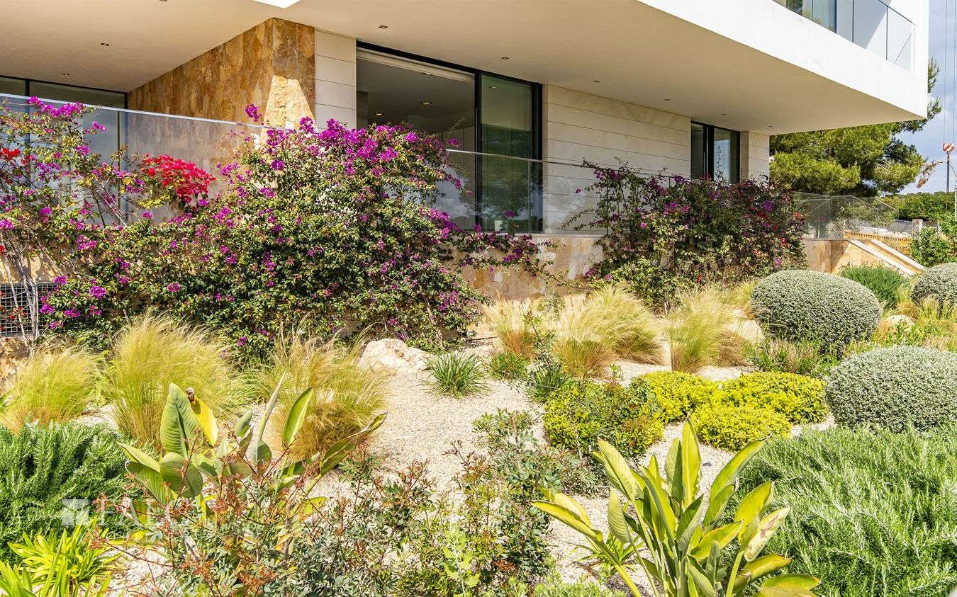 villa-sol-de-mallorca-6