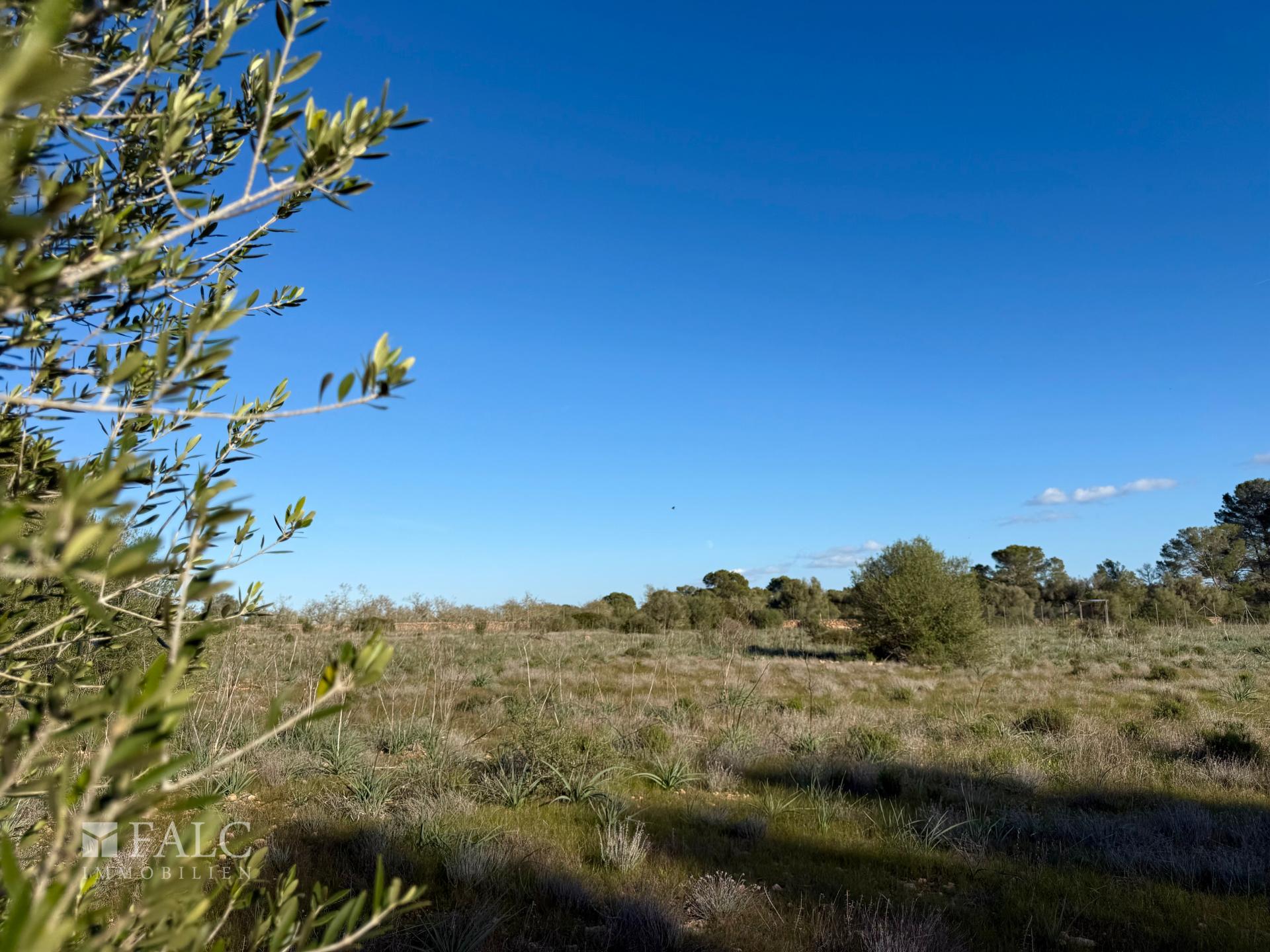 Weitblick Grundstück