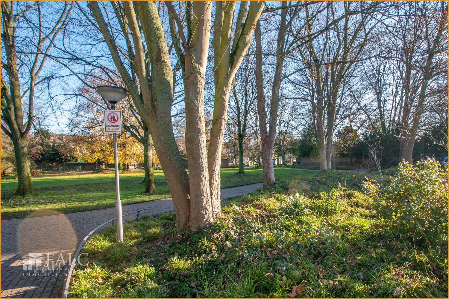 Park hinter dem Haus