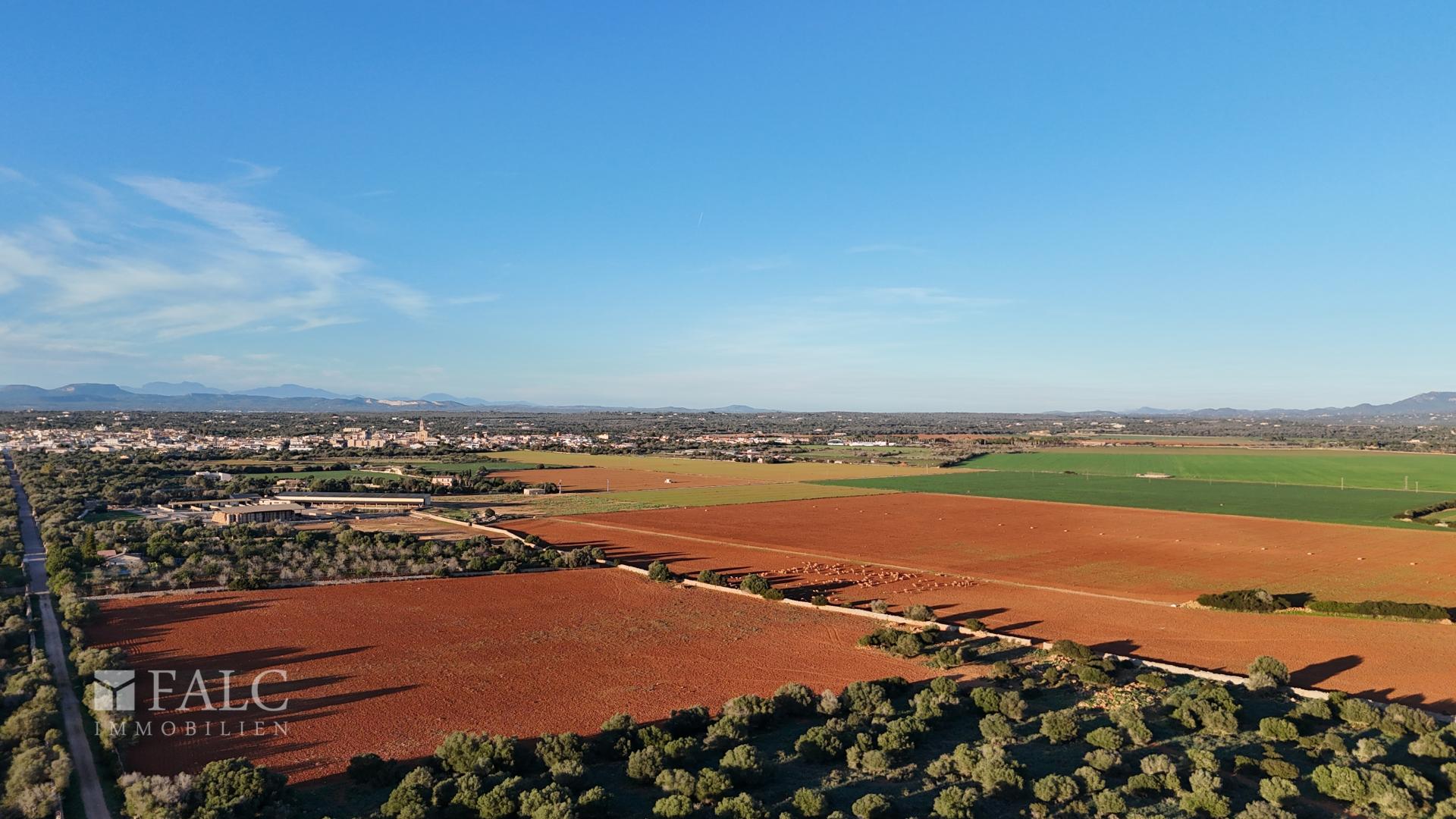 Weitblick Ses Salines