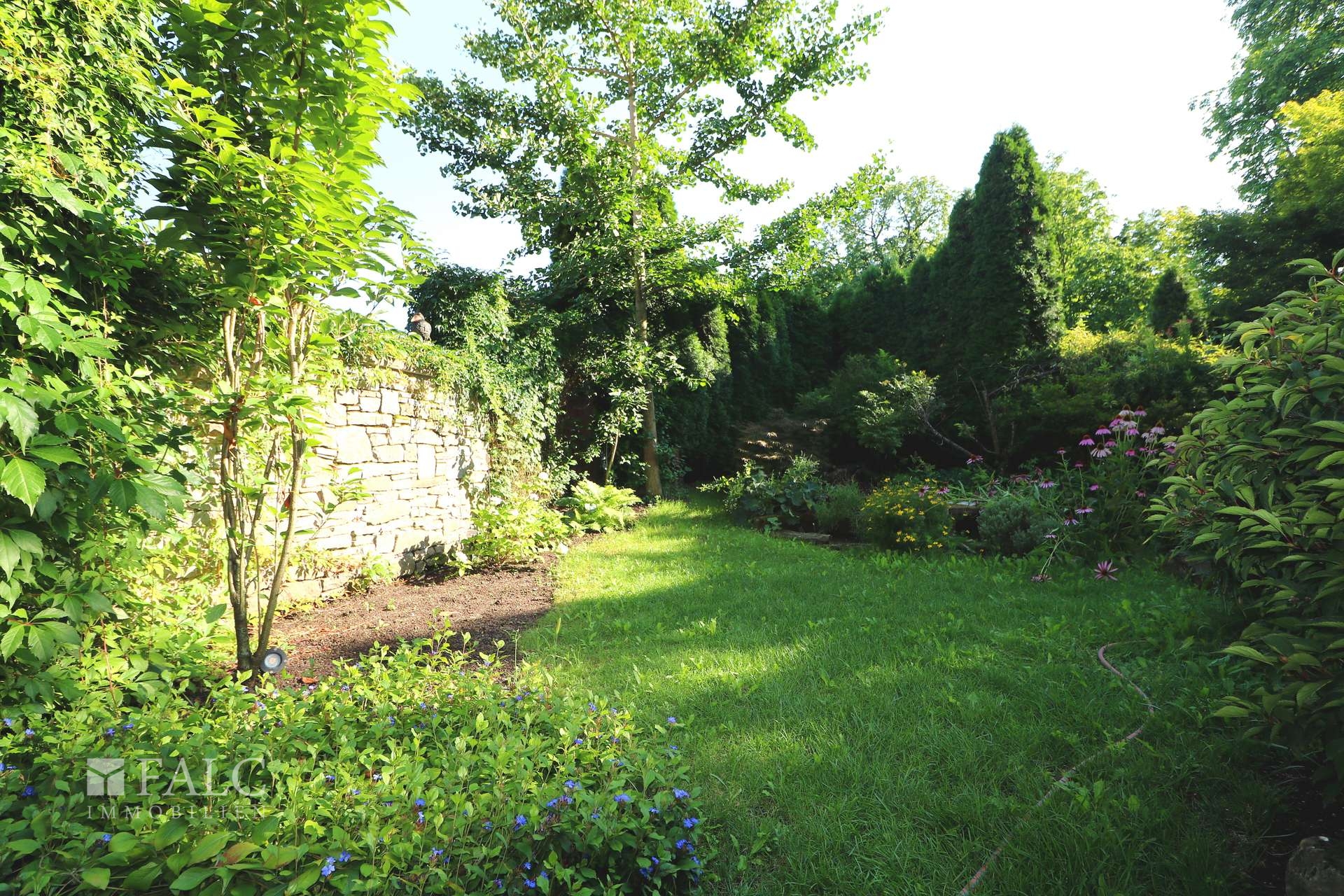 Garten noch mit Thuja-Hecke