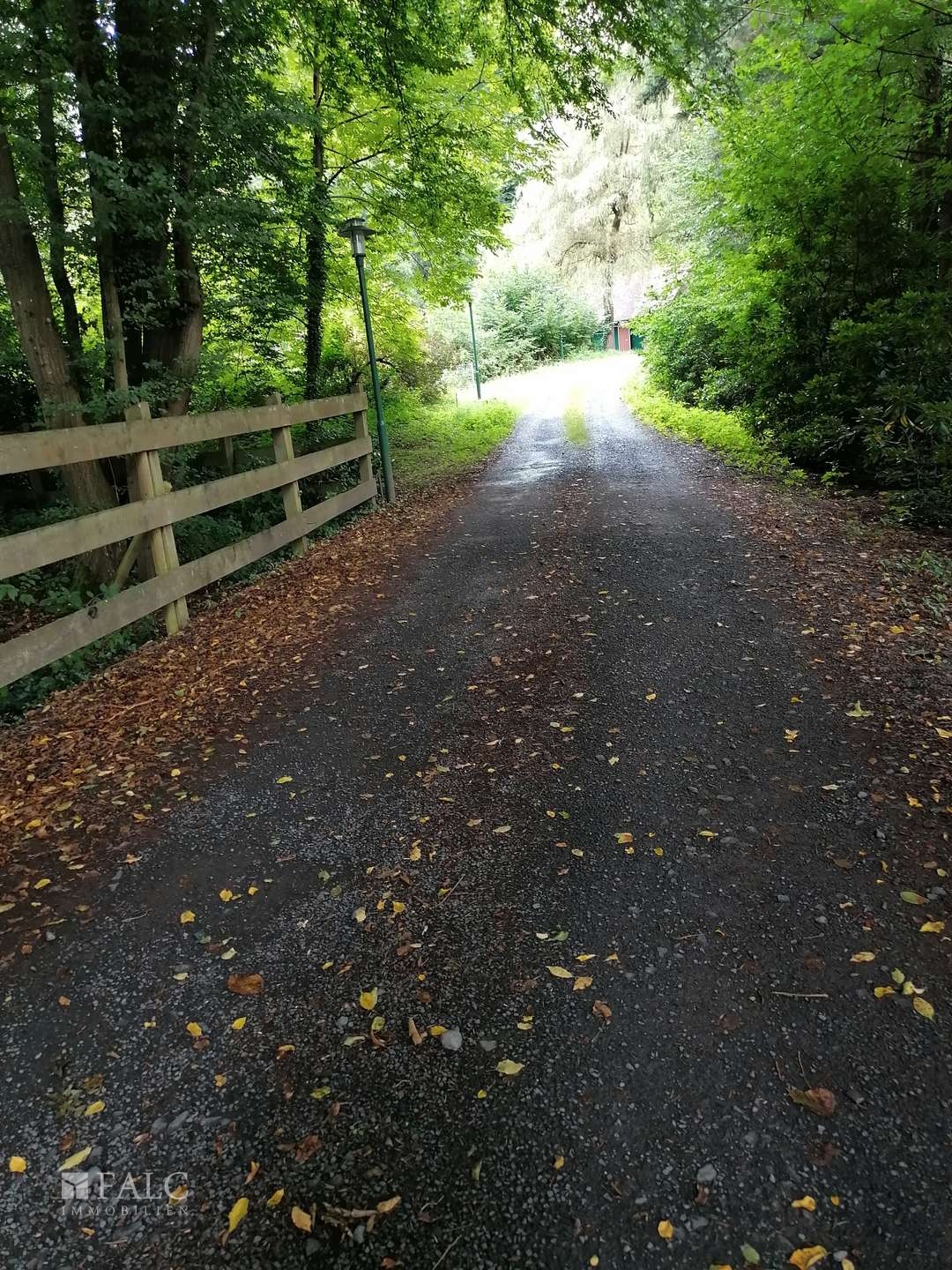  Eingangsbereich - Zaunbeispiel -Ruine