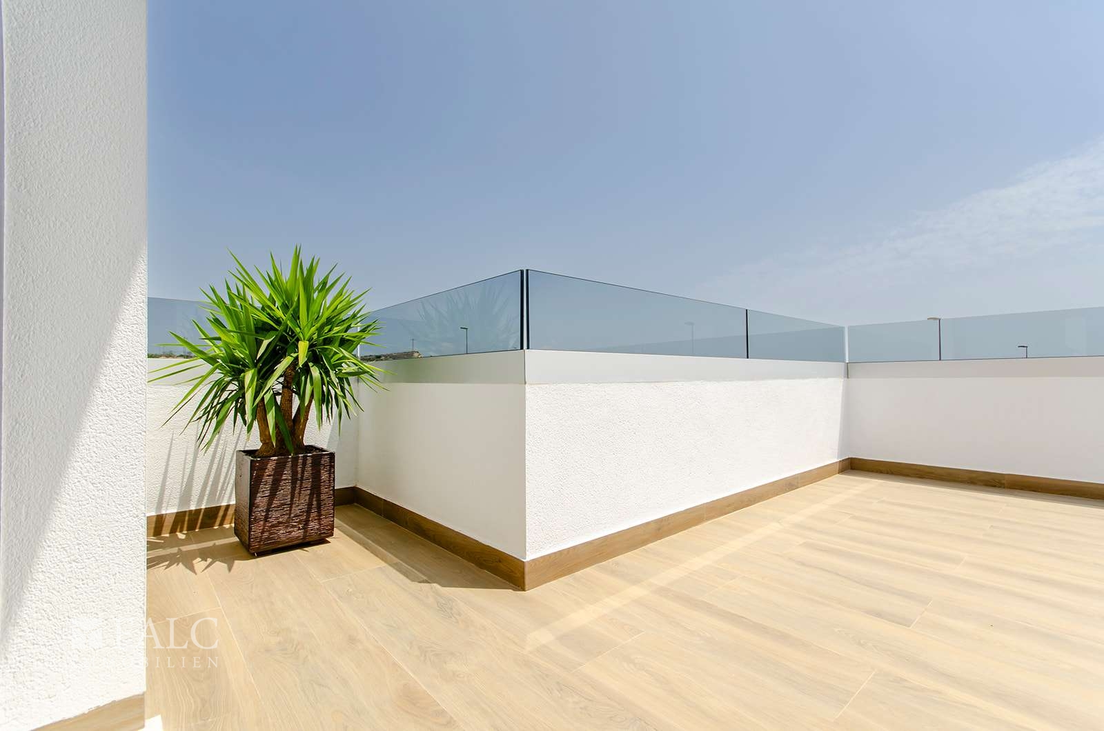 Glaswandschutz Terrasse 1. Stock